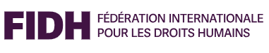 Libertés publiques en danger. Alerte sur la répression en France